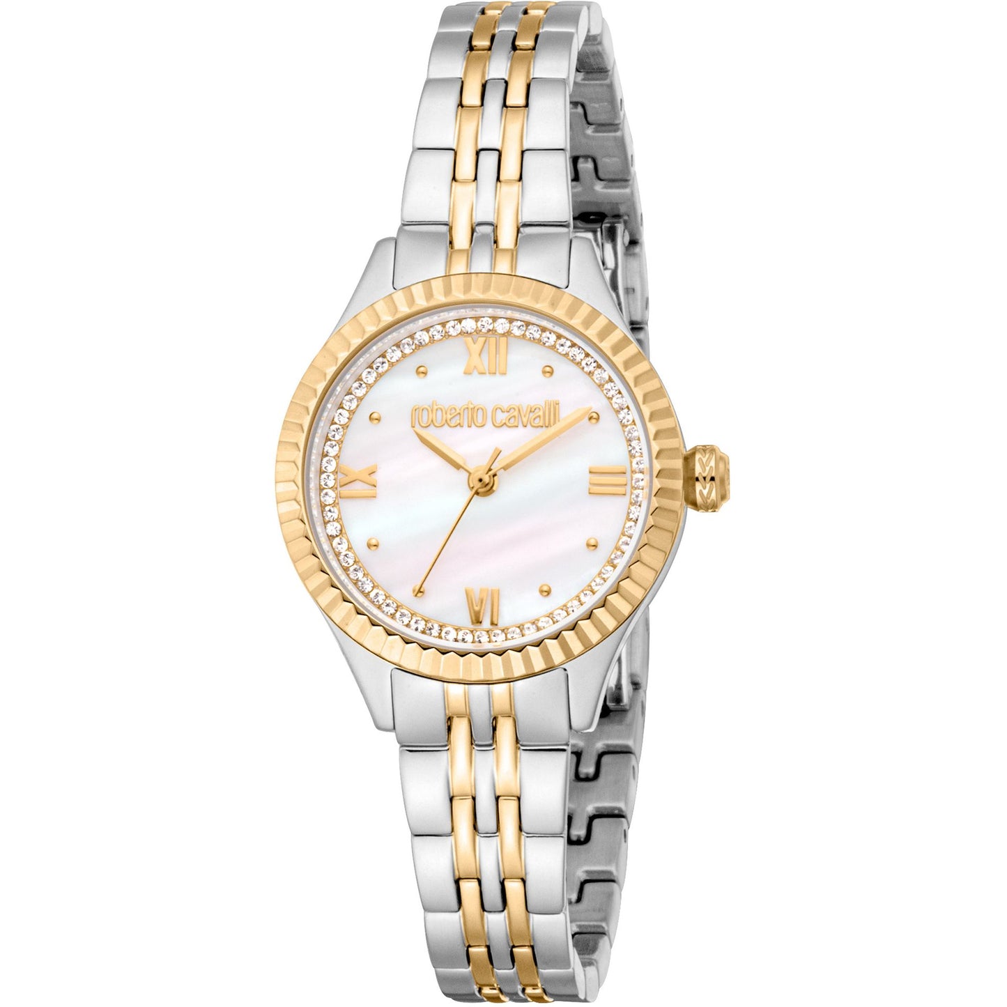 Roberto Cavalli Montres